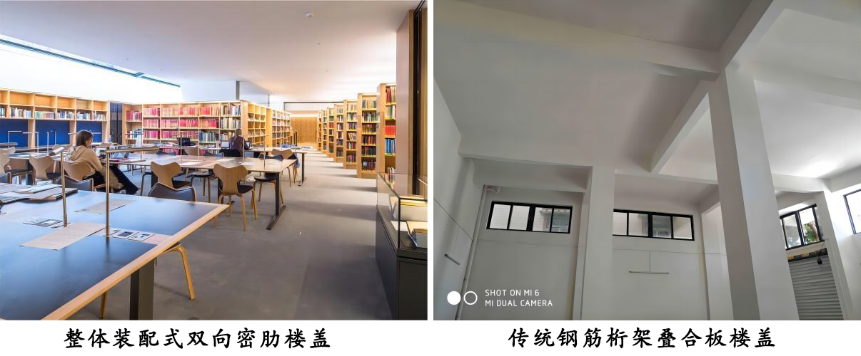 新老对比.jpg
